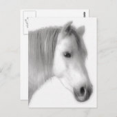 Weißes Arabian-Pferd-Portrait Postkarte (Vorne/Hinten)
