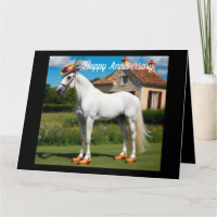 Weißes Arabianisches Pferd mit Hut und Knöcheln