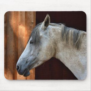Weißes Arabisches Pferd Mousepad