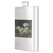 Weißes Austernpilz Flachmann (Links)