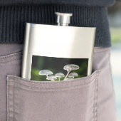 Weißes Austernpilz Flachmann (Beispiel)