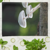 Weißes Austernpilz Geschirrtuch (Gefaltet)