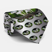 Weißes Austernpilz Krawatte (Gerollt)