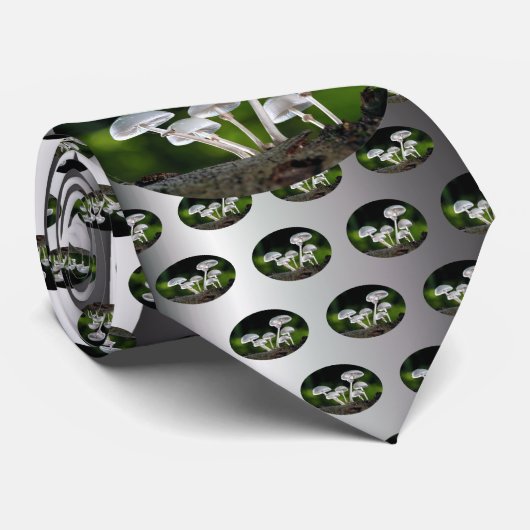 Weißes Austernpilz Krawatte (Gerollt)