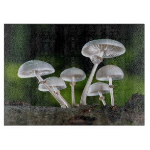 Weißes Austernpilz Schneidebrett