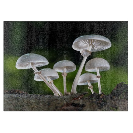 Weißes Austernpilz Schneidebrett (Vorderseite)