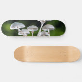Weißes Austernpilz Skateboard (Horizontal)