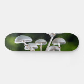 Weißes Austernpilz Skateboard (Horizontal)