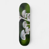 Weißes Austernpilz Skateboard (Vorderseite)