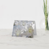 Weißes Azaleen - Karte (Vorderseite)