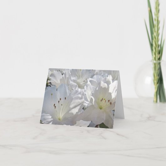 Weißes Azaleen - Karte (Vorderseite)