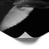 Weißes B&W-Foto Poster (Ecke)