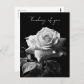 Weißes B&W-Foto Postkarte (Vorne/Hinten)