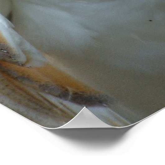 Weißes Bälle-Poster Poster (Ecke)