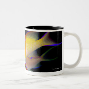 Weißes Bar Anthias Zweifarbige Tasse