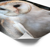 Weißes Barschuhn Fotodruck (Ecke)