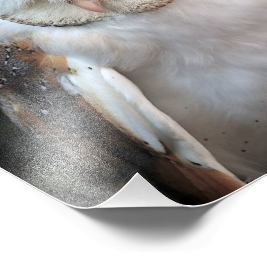 Weißes Barschuhn Fotodruck (Ecke)