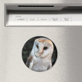 Weißes Barschuhn Magnet (In Situ (Geschirrspüler))