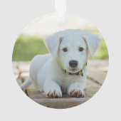 Weißes Blatt Silber Hund Foto mit Name Year Ornament (Rückseite)