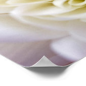 Weißes Blume-Poster Poster (Ecke)