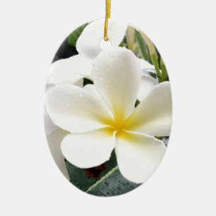 Weißes Blumen Keramikornament