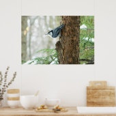 Weißes Breastgeweih Winterposter Poster (Küche)