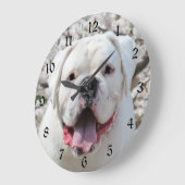 Weißes Bulldoggesicht Große Wanduhr (Winkel)