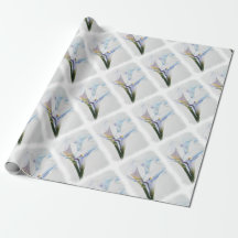 WEISSES CALLA-LILIEN-PACKPAPIER