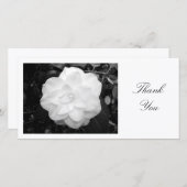 Weißes Camelia - danke (Vorne/Hinten)