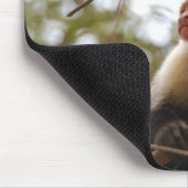 Weißes Capuchin, Affenfotografie Mousepad (Ecke)