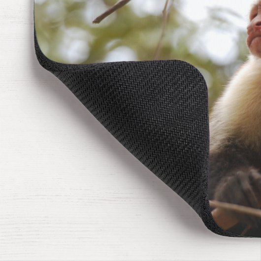 Weißes Capuchin, Affenfotografie Mousepad (Ecke)