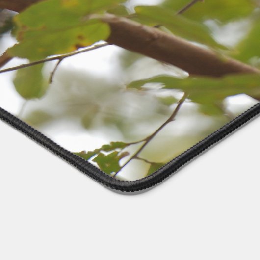 Weißes Capuchin, Exotische Affenfotografie Schreibtischunterlage (Ecke)