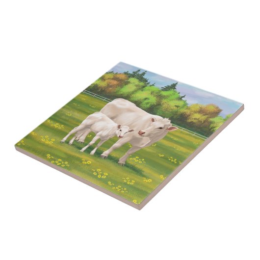 Weißes Charolais Kuh und Niedliches Rindfleisch Ri Fliese (Seite)