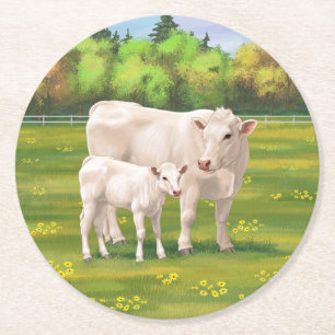 Weißes Charolais Kuh und Niedliches Rindfleisch Ri Runder Pappuntersetzer