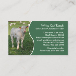 Weißes Charolaiskalb mit grüner Platte Visitenkarte