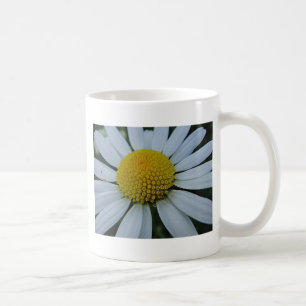 Weißes Chrysanthemum mit gelber Mitte Kaffeetasse
