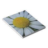 Weißes Chrysanthemum mit gelber Mitte Notizblock (angewinkelt)