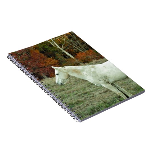 Weißes Cremepferd im Herbst Notizblock (Rechte Seite)
