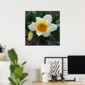 weißes Daffodialglühen Poster (Heimbüro)