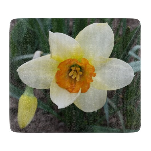 weißes Daffodialglühen Schneidebrett (Vorderseite)