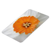 Weißes Daffodil Premium Magnet (Linke Seite)