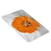 Weißes Daffodil Premium Magnet (Rechte Seite)