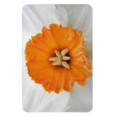 Weißes Daffodil Premium Magnet (Vertikal)