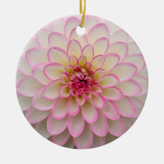 Weißes Dahlia mit rosa Blume Keramik Ornament (Vorne)