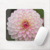 Weißes Dahlia mit rosa Felge Blume Mousepad (Mit Mouse)