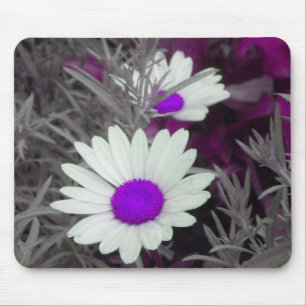 Weißes Daisy (w Lila) Mousepad