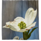 Weißes Dogwood Bloom Duschvorhang (Vorderseite)