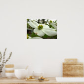 Weißes Dogwood-Blossom Poster (Küche)