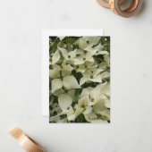 Weißes Dogwood-Blume Mitteilungskarte (Vorderseite/Rückseite Beispiel)