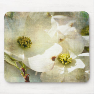 Weißes Dogwood-Blume Mousepad